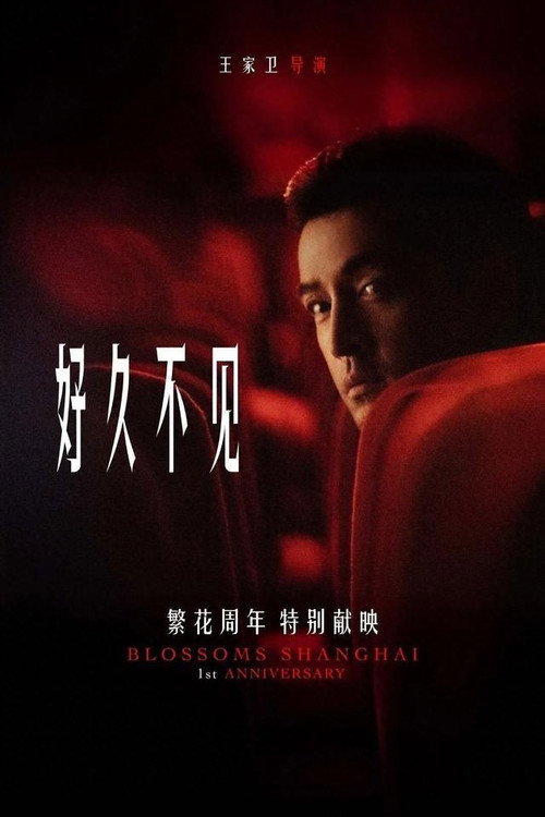 繁花剧场版 封面