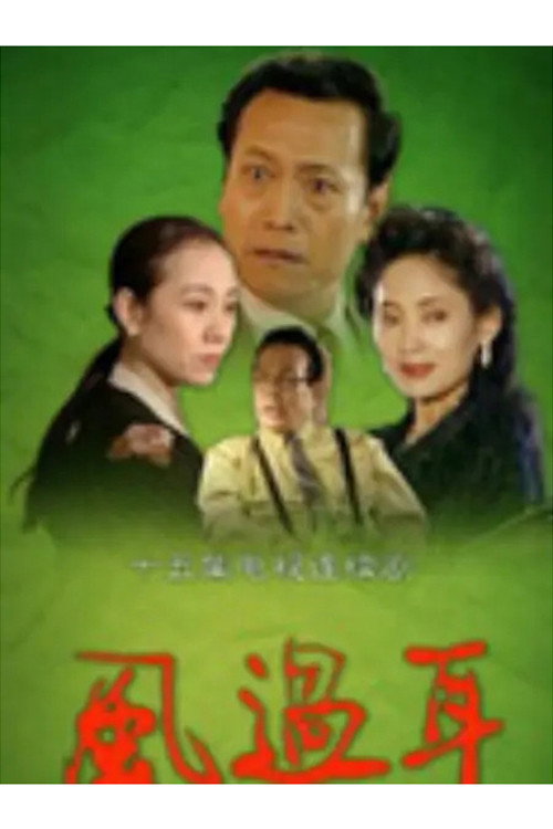 风过耳 封面