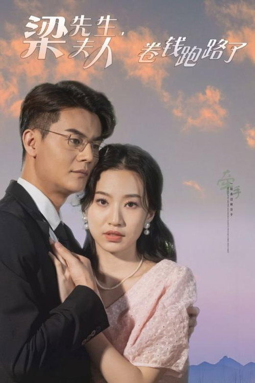 梁先生,夫人卷钱跑路了 封面