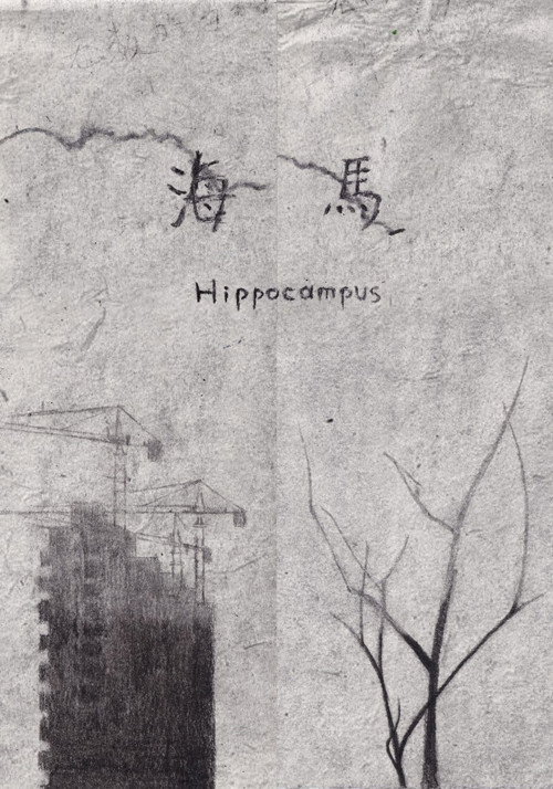 Hippocampus 封面
