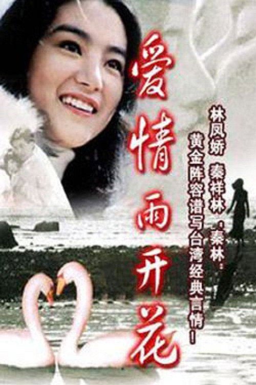 爱情雨开花 封面