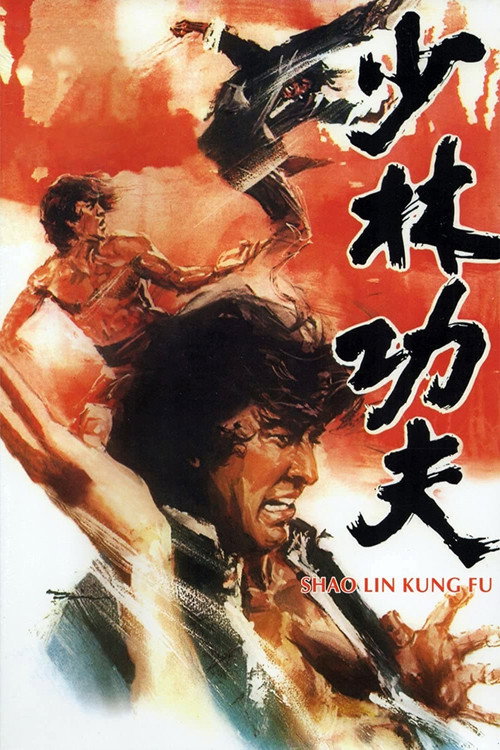 少林功夫 封面