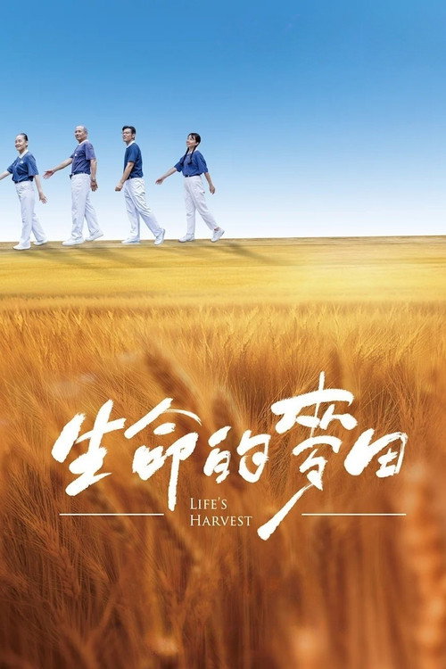 生命的麦田 封面