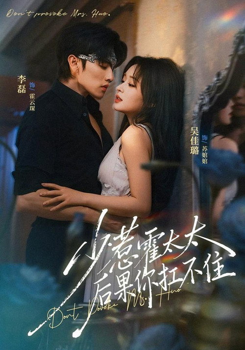 少惹霍太太,后果你扛不住 封面
