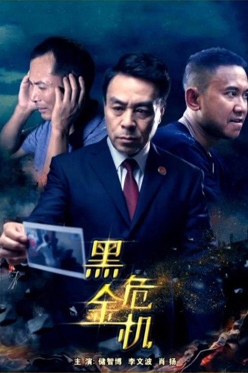 黑金危机 封面