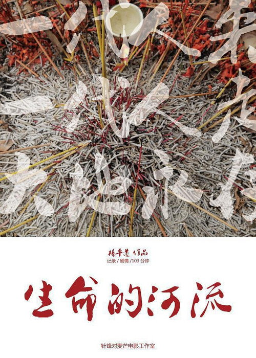 生命的河流 封面