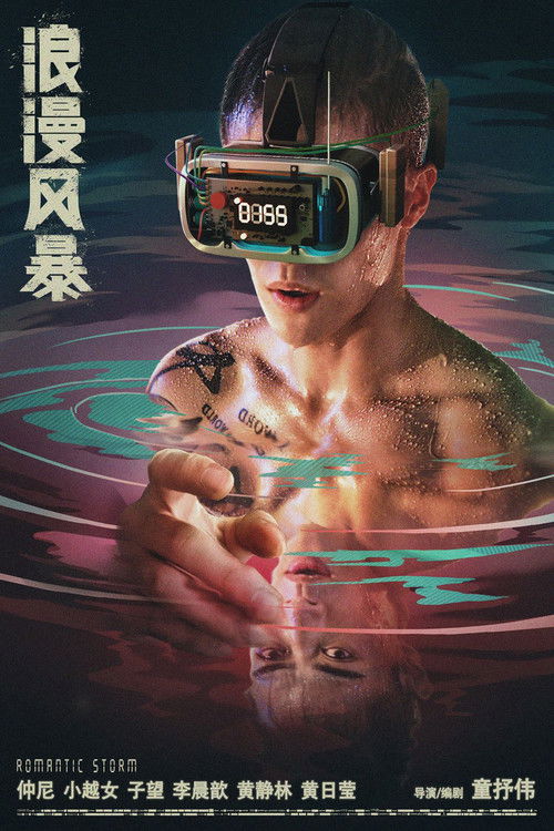 浪漫风暴 封面