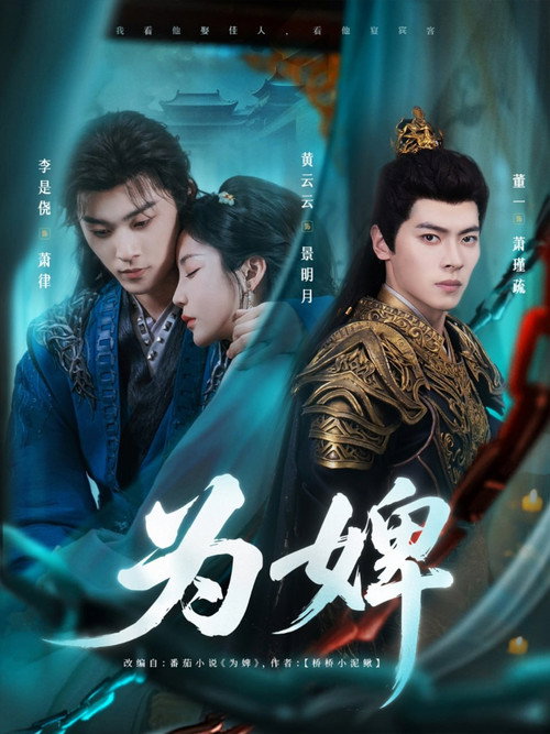 为婢 封面