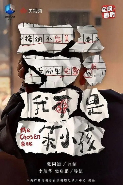 我不是笨小孩 封面