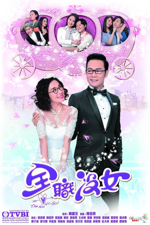 全职没女 封面