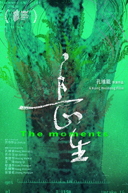 长生 封面