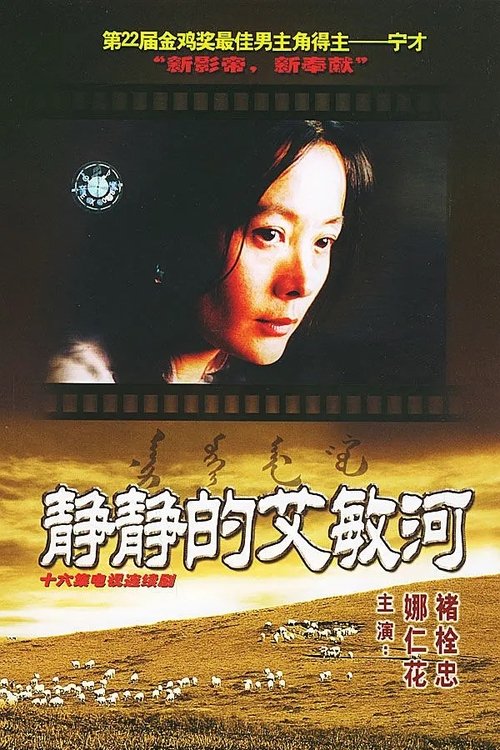 静静的艾敏河 封面
