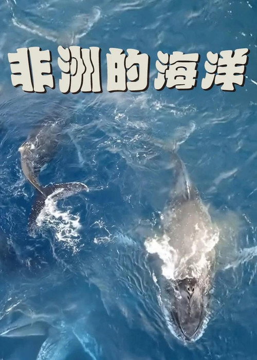 非洲的海洋 封面