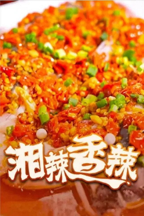 湘辣香辣 封面
