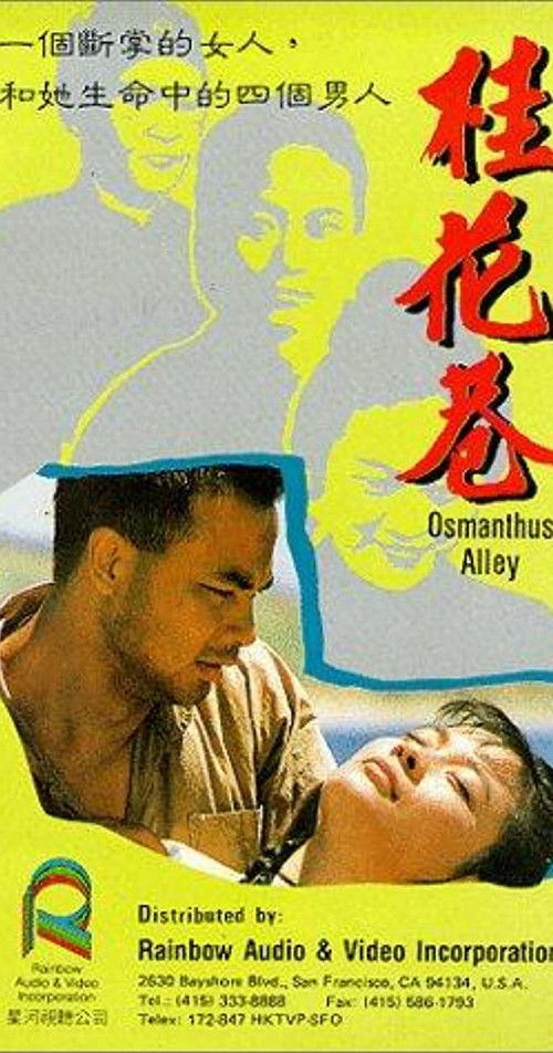 桂花巷 封面