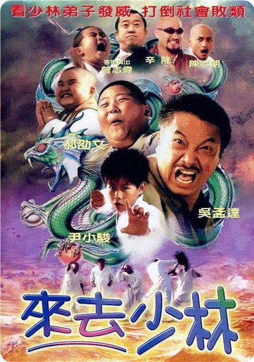 来去少林 封面
