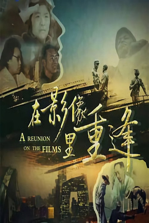 在影像里重逢 封面