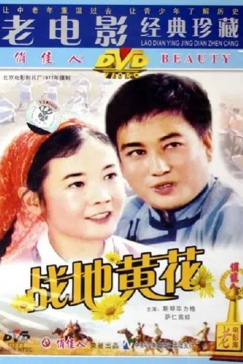 战地黄花 封面