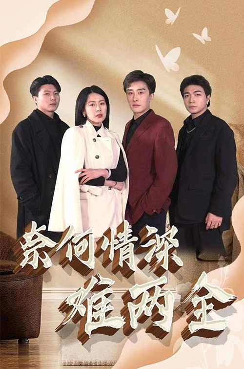 奈何情深难两全 封面