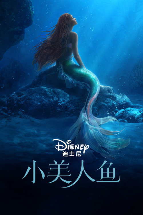 小美人鱼 封面