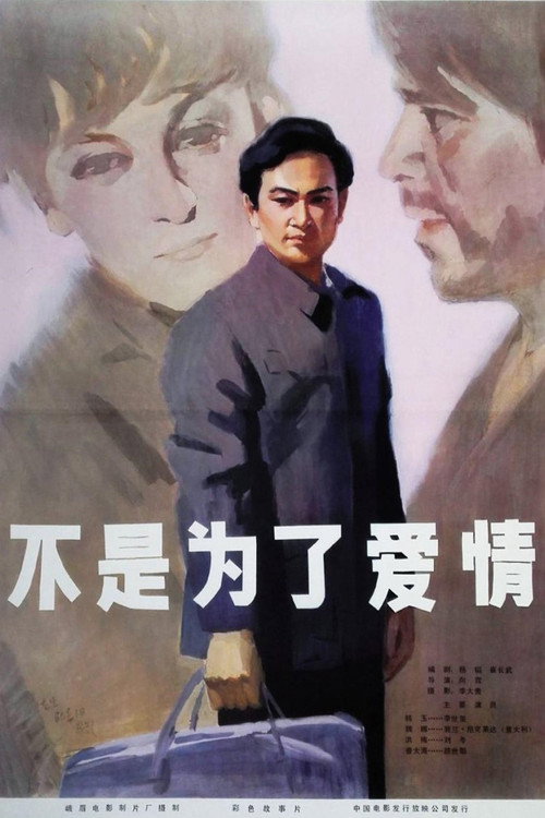 不是为了爱情 封面