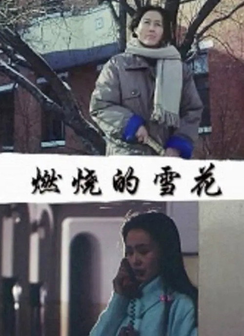 燃烧的雪花 封面
