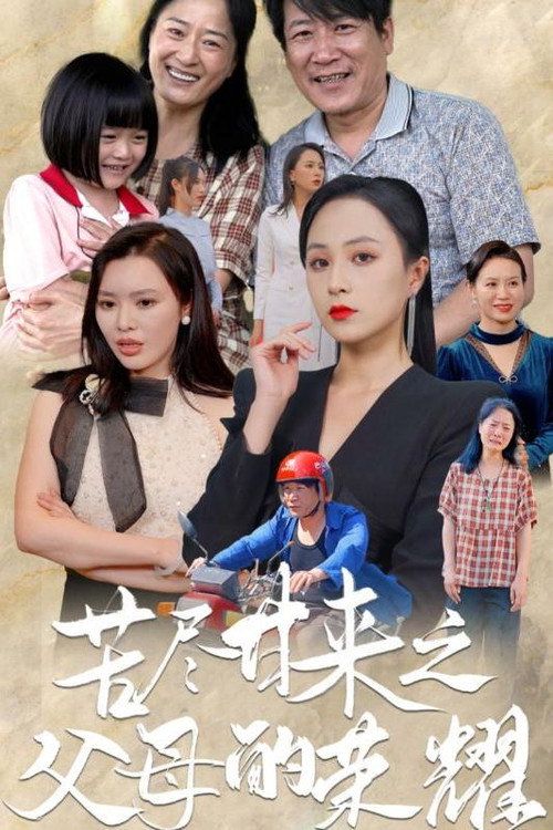 苦尽甘来之父母的荣耀 封面