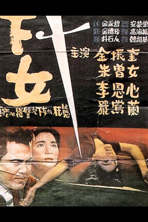 下女 封面