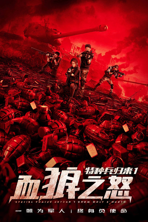 特种兵归来1血狼之怒 封面