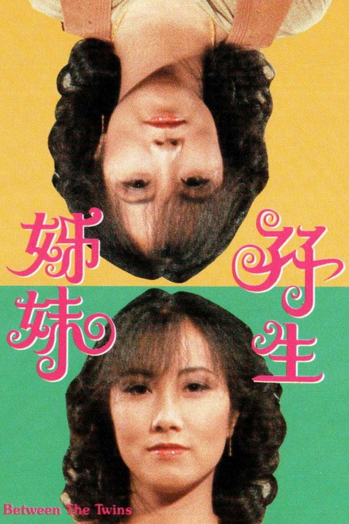 双生姐妹 封面