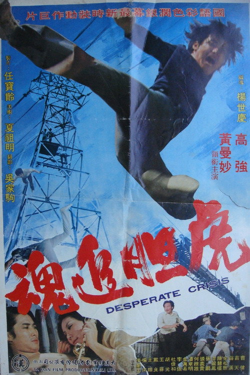 虎追魂 封面