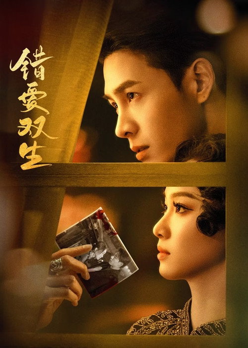 错爱双生 封面