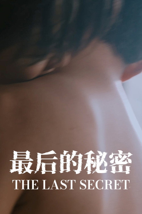最后的秘密 封面