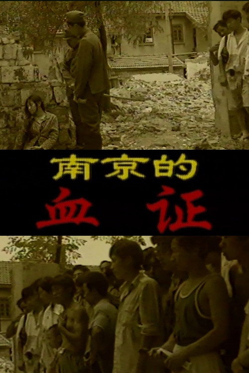 南京的血证 封面