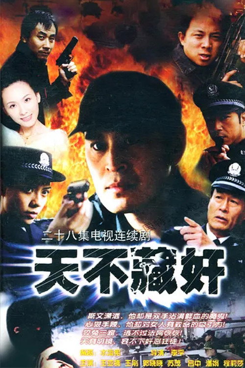 天不藏奸 封面