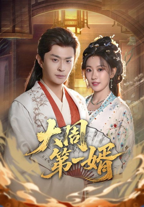 大周第一婿 封面