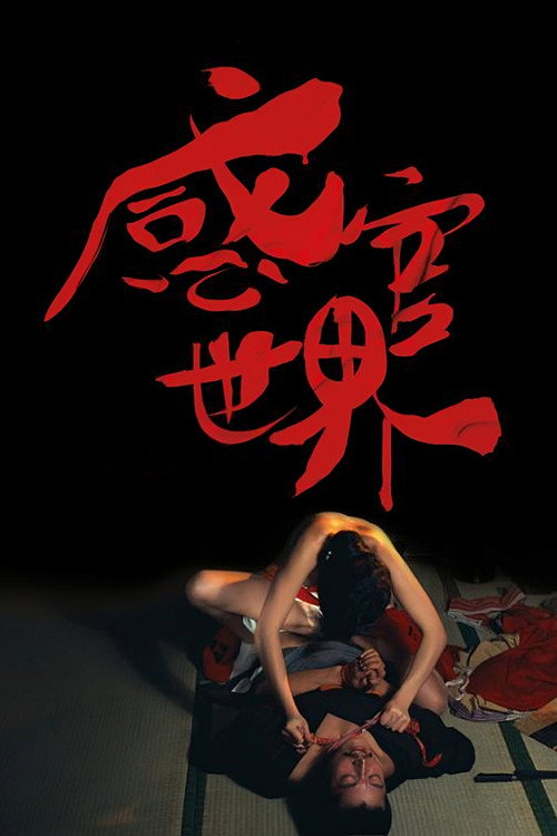 感官世界 封面