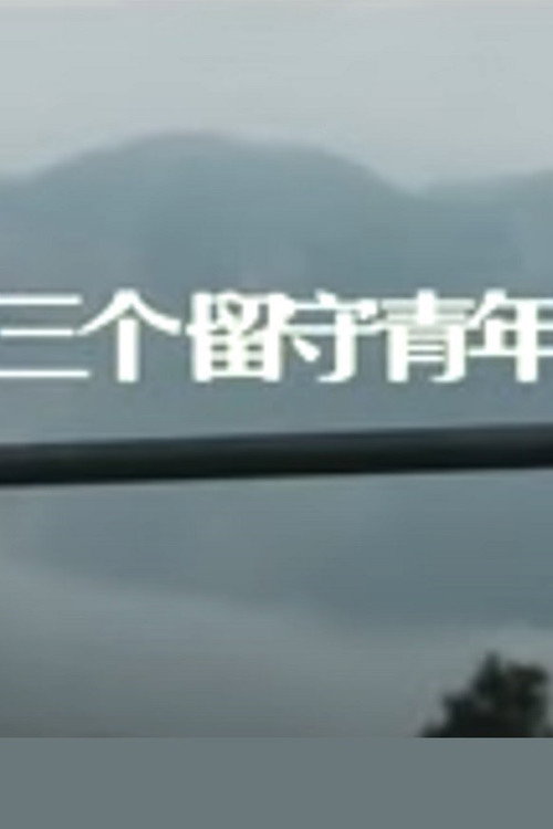 三个留守青年 封面
