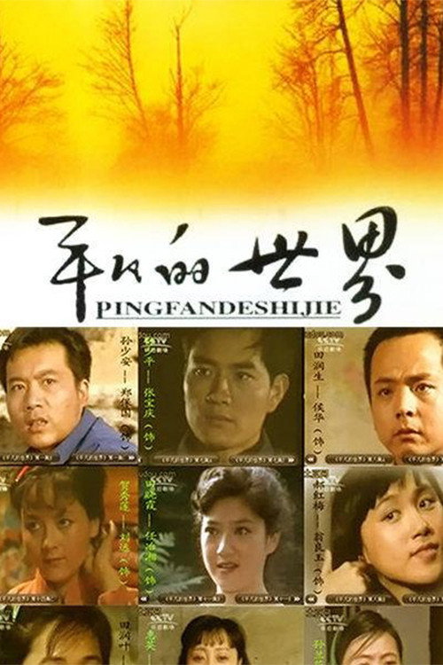 平凡的世界 封面