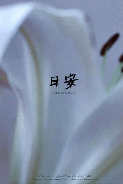 日安 封面