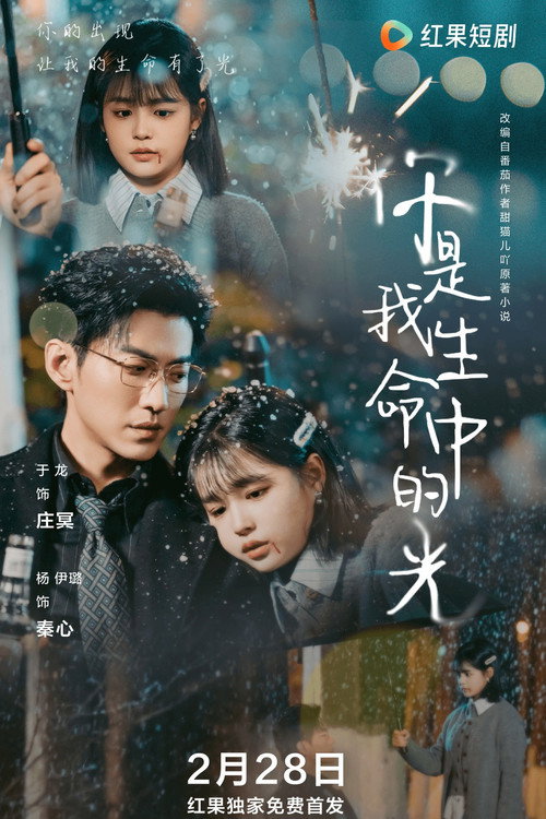 你是我生命中的光 封面