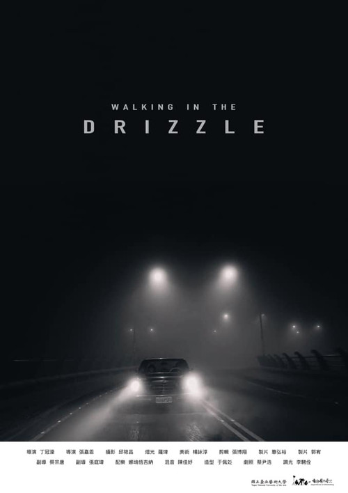Walking in the Drizzle 封面