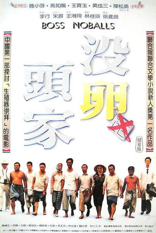 没卵头家 封面