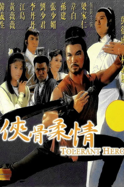 侠骨柔情 封面