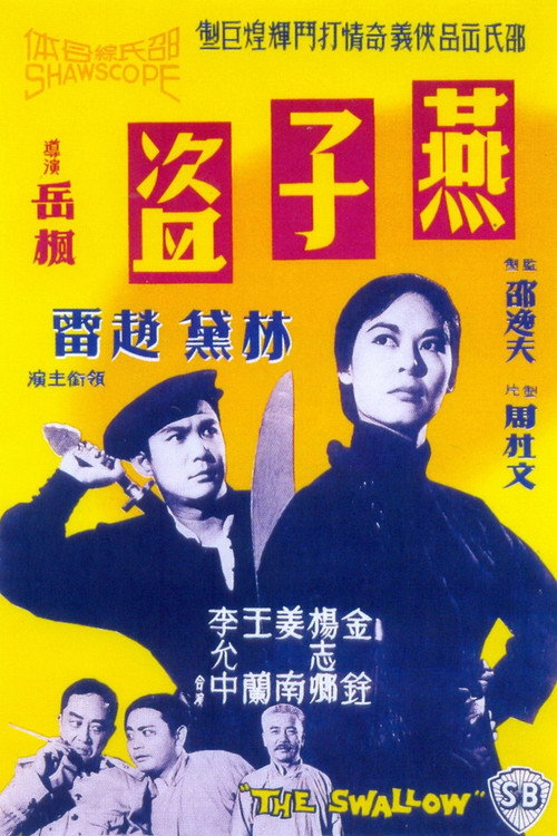 燕子盗 封面