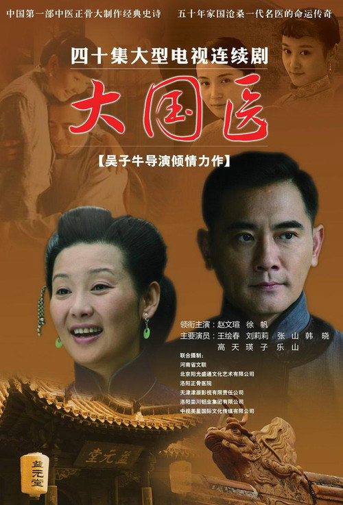 大国医 封面