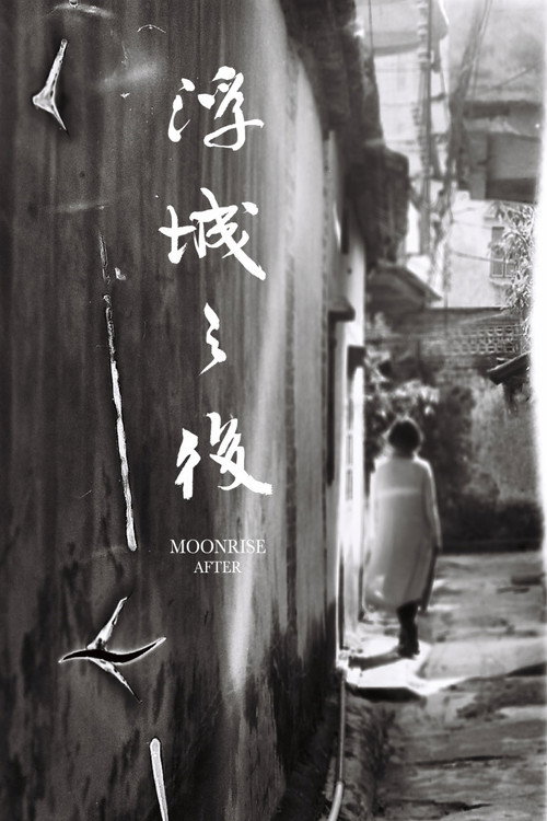 浮城之後 封面