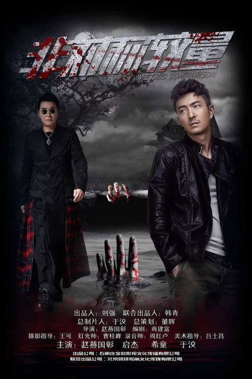 非对称较量 封面