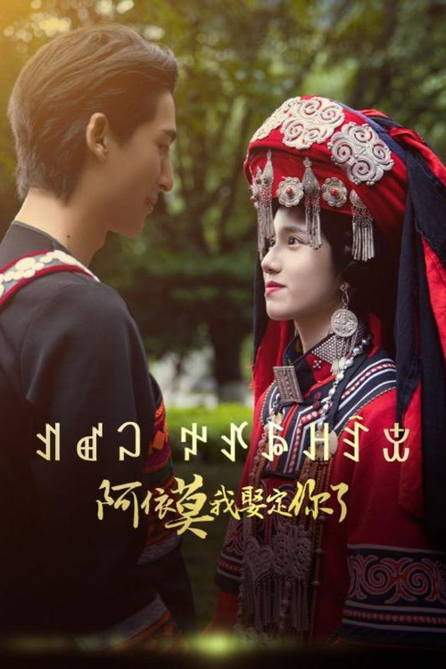 阿依莫我娶定你了 封面