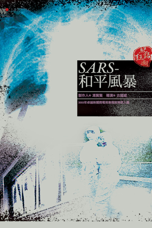 和平風暴 封面